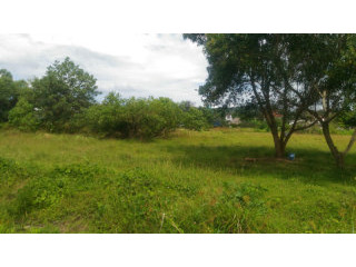Koktanod - 9.75 Rai Development Land in..
