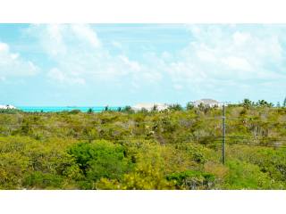 Flamingo Road - Long Bay -..