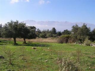 DCP-207 PLOT IN KEFALAS REDUCED TO..