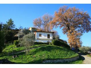 Beautiful house with a large plot of..