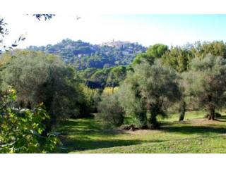 Mougins French Riviera, 06250