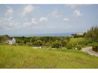 Property For Sale: Turtleback Ridge Lot..