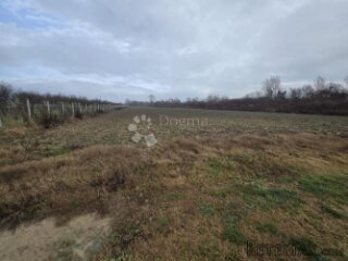 Velike poljoprivredne parcele 9.859m² u mirnom okruženju bli