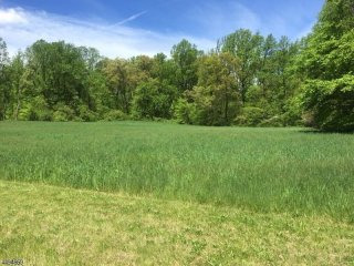 Land For Sale: 11 Pinefield Lane
