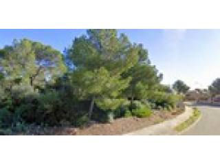 - Land - For Sale