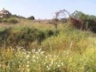 Plot With Lots Of Development Potential..