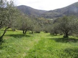 Big Land For Sale In Crete