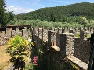 Enchanting Country Property Lucca Hills