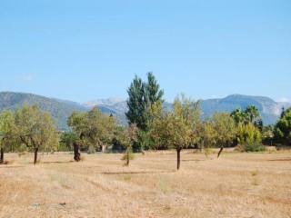 Huge flat plot inside the village of..