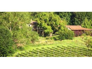 3 bedroom Land For Sale: San Gimignano