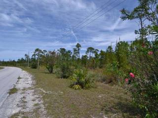 Singlefamilyvacant - 1/4 mile North of..