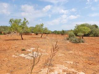 Generous plot close to the ammenities..