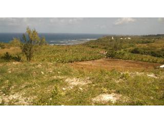 Property For Sale: Newcastle Park, Lot..