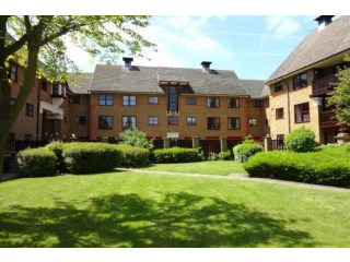 1 bed flat to rent