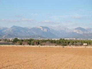 Plot With Licence And Excellent Access..