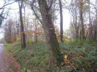 DORDOGNE land constructable of 3705 m2