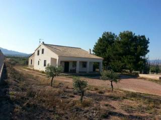 Beautiful inland country house in Aspe..