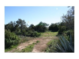 Rural Land, Loule › Loule (Sao Clemente)