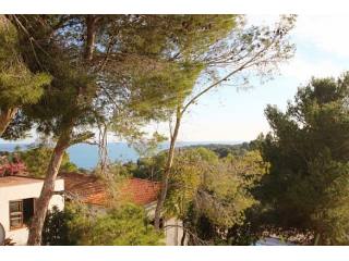 Plot in Benissa