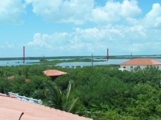7acre Island With Huge Pontetial