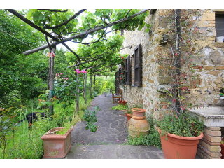 Chianni Woods House