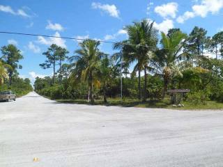 Singlefamilyvacant - Exceptionally..