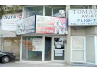 Larnaca