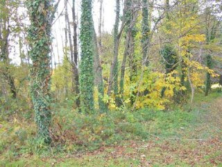 Building Land Close To All Amenities In..