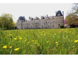 10 bedroom Castle For Sale: 86000 VIENNE