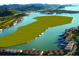 Plot 23 Harbour Island $300,000