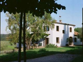 FARMHOUSE SURROUNDED BY GREENERY