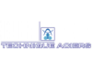 Dessinatrice-back-office