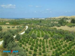 Agricultural Land in Goudi, Pafos