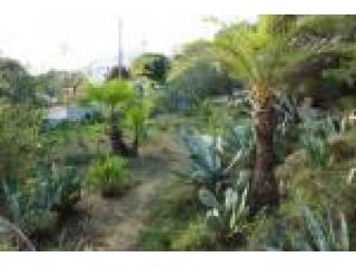 Land, Alicante (Costa Blanca), Benissa..