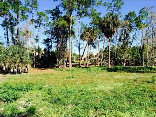 Land For Sale: Naples, Florida