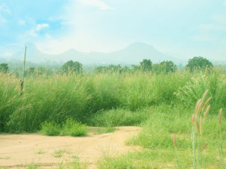 Land Plot adjacent to Phoenix Golf..