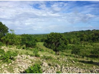 Cabarete Land With Ocean Views Priced..