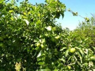 Crete Countryside