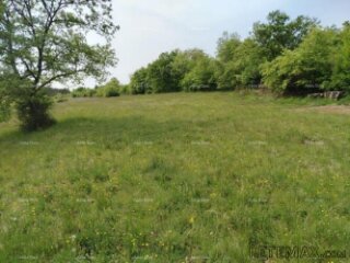 Građevinsko zemljište 3.528 m² , u blizini Grožnjana