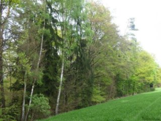 Agricultural 18230 45000