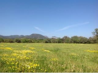 Countryside plot with project