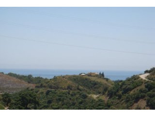 Property - For Sale