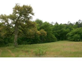 3 bedroom House For Sale: 47170..