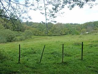 Building Plot Of About 1.8 Hectares In..