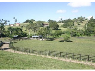 Farm With A Villa Near Imbert, Province..