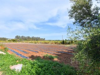 Land in Paphos, Cyprus, for Sale -..