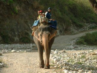 Jim Corbett Tour Packages
