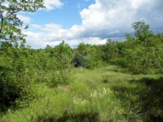 Istra - Bale - poljoprivredno zemljište 65.000 m2