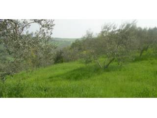 Land for sale in Molise - Terreno con..
