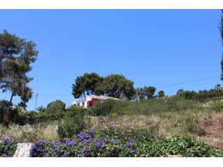Plot in Javea